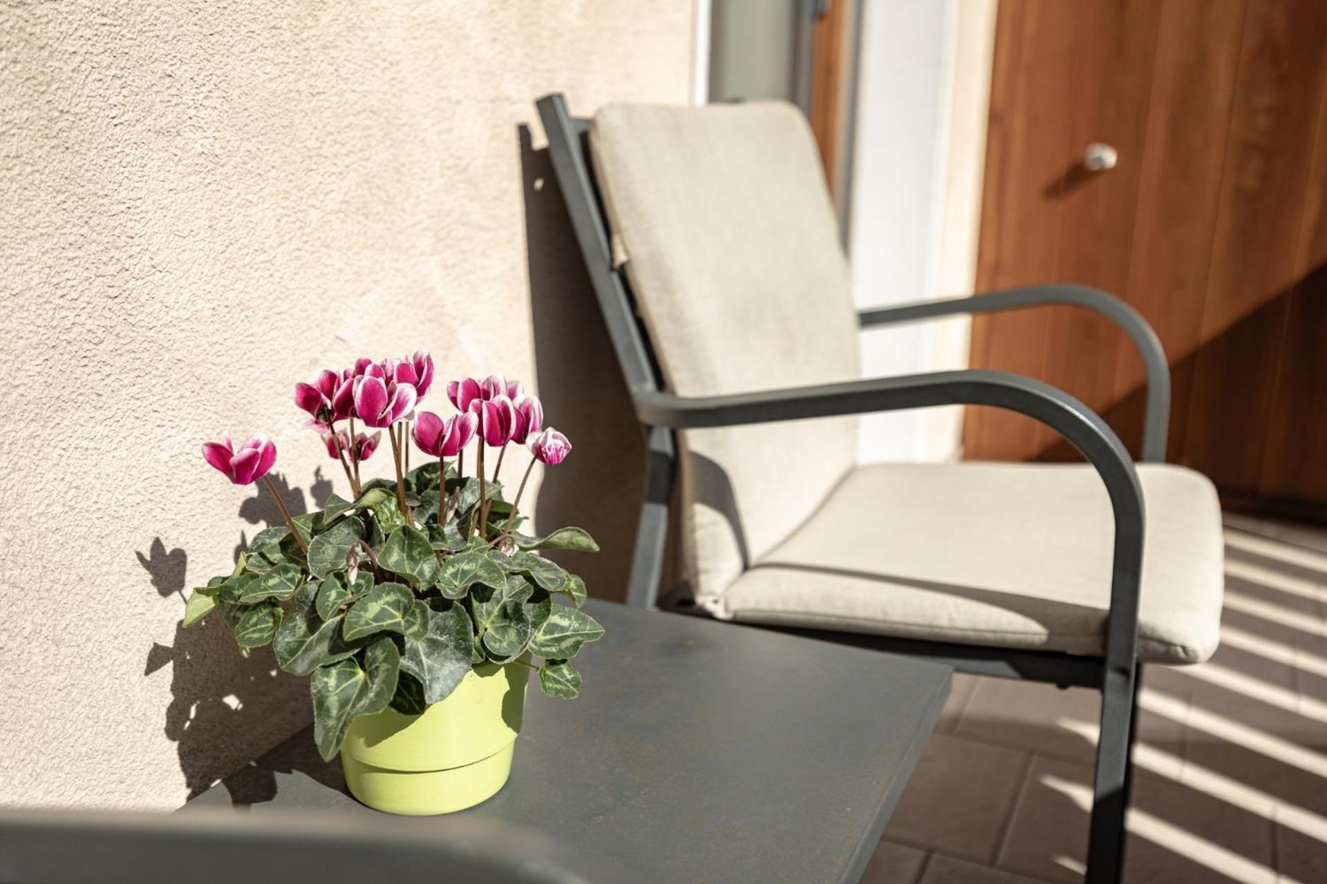 Apartments Soval Santa Cristina Val Gardena Zewnętrze zdjęcie